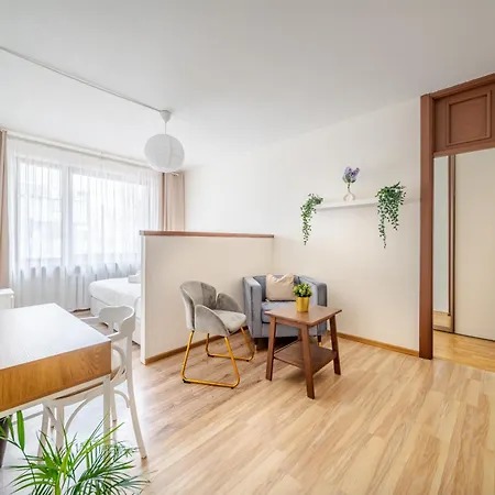 Cosy 2 Bed Flat In Naujamiestis 公寓 *