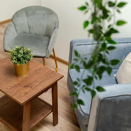 Cosy 2 Bed Flat In Naujamiestis